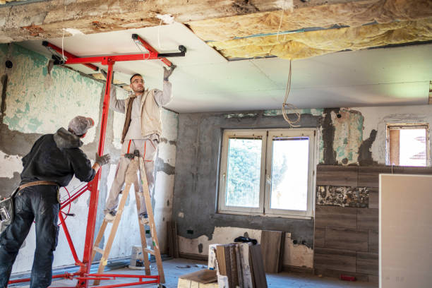 Best Geographic-Specific Insulation Services in Harlingen, TX