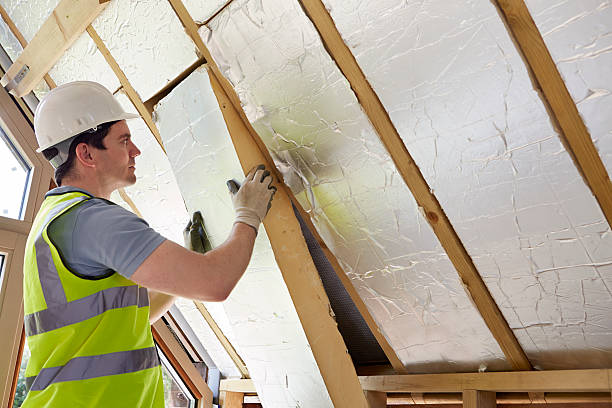 Best Insulation Maintenance and Repair in Harlingen, TX