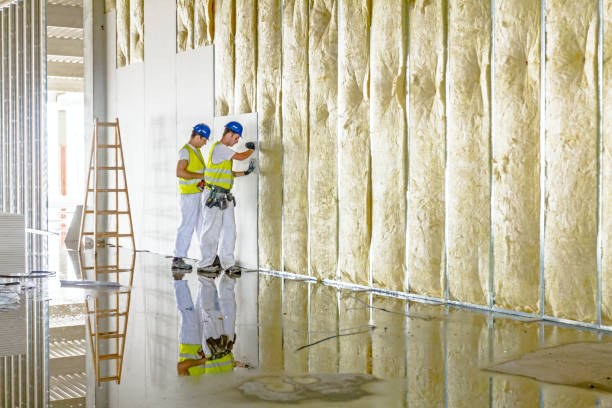 Best Blown-in Insulation in Harlingen, TX